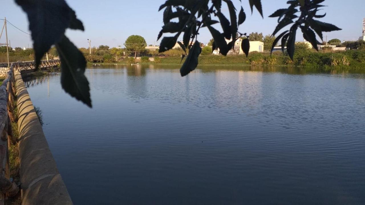 Agriturismo Masseria Alberotanza Κονβερσάνο Εξωτερικό φωτογραφία