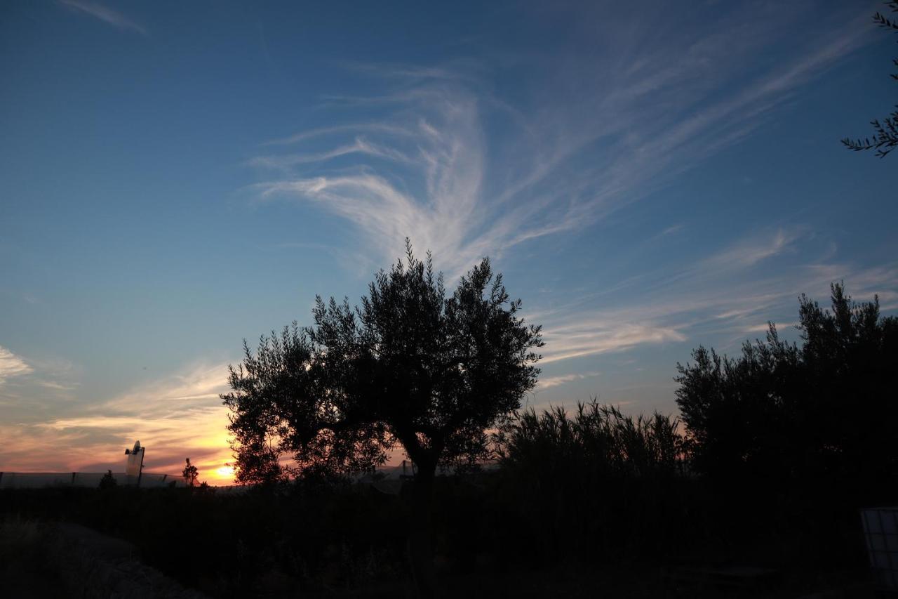Agriturismo Masseria Alberotanza Κονβερσάνο Εξωτερικό φωτογραφία